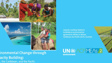 Photo of Caribbean Hub – Capacity Building related to the Implementation of Multilateral Environmental Agreements (MEAs) in African, Caribbean and Pacific (ACP) Countries