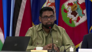 Photo of Despite Hurricane Beryl setbacks, President Ali confident of food import bill reduction