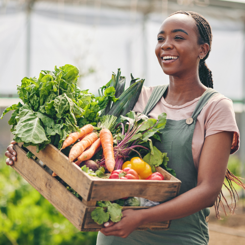 Food and Nutrition Security